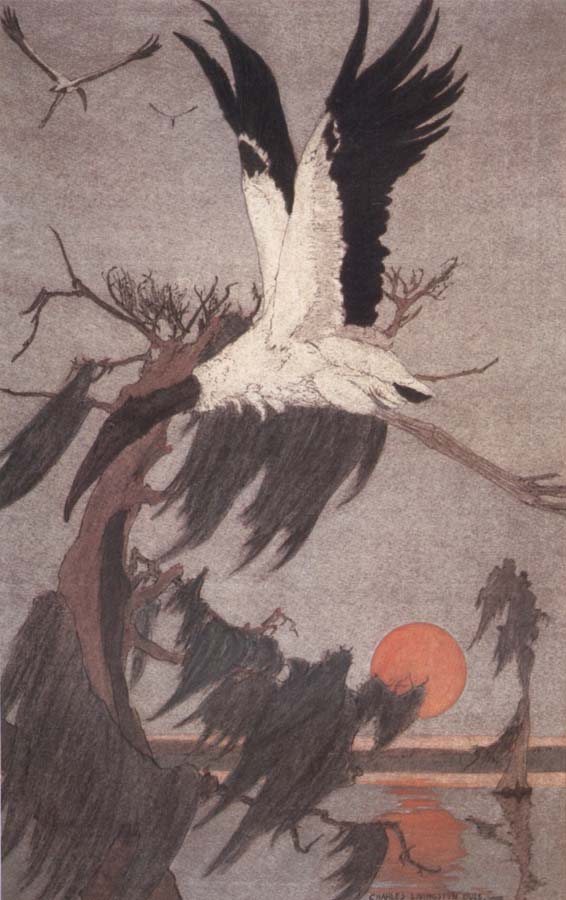 The Stork of the Woods